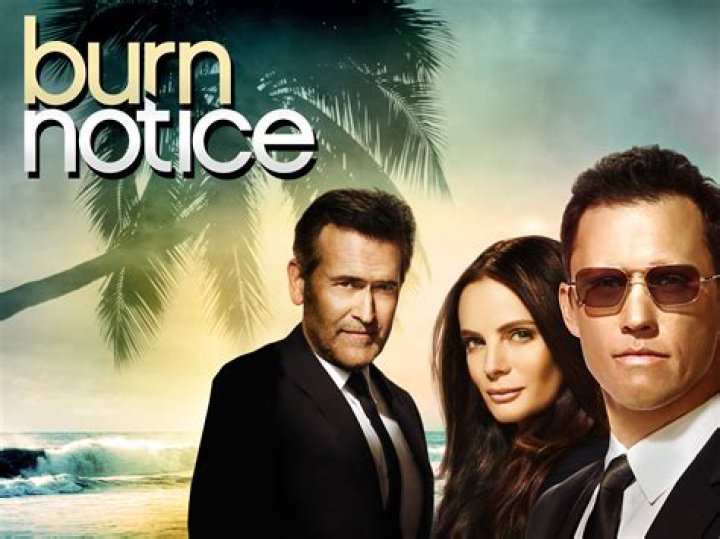 11 Amazing Bodies of Burn Notice Stars