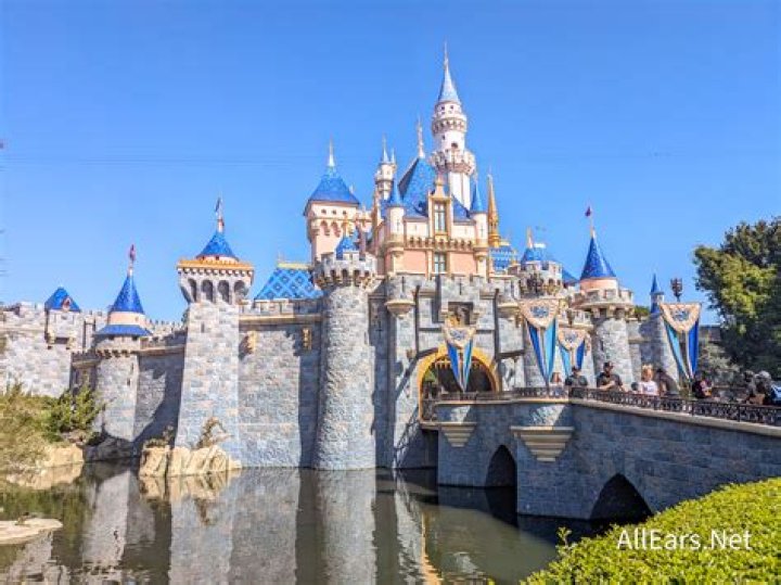 AllEars.net Net Worth & Earnings (2024)