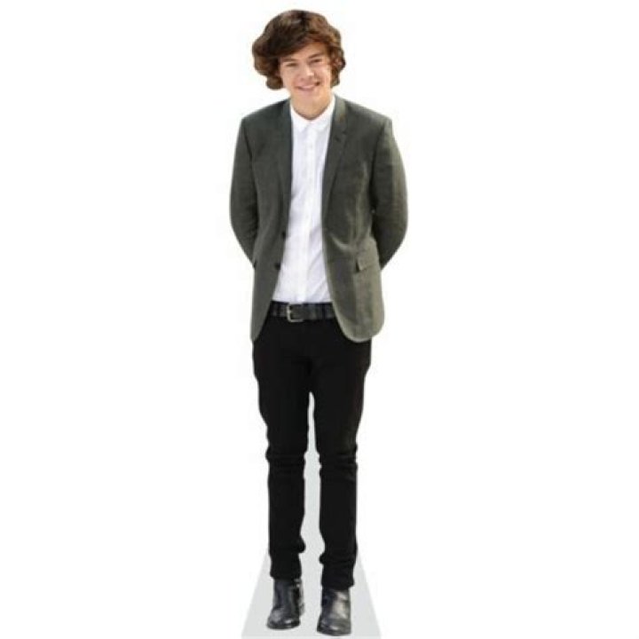 Harry Styles Body Measurements Shoe Size Weight Height Stats