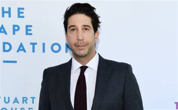 
How Much Money Does David Schwimmer Make? Latest Income Salary
