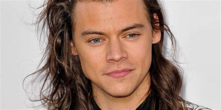 
How Much Money Does Harry Styles Make? Latest Income Salary
