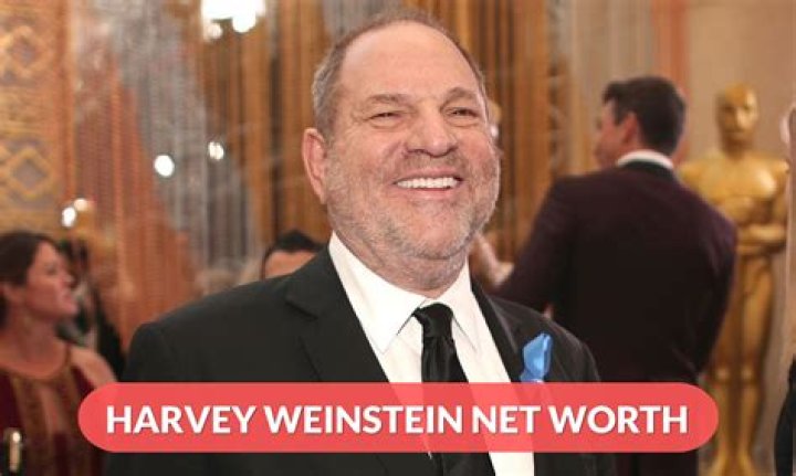 
How Much Money Does Harvey Weinstein Make? Latest Income Salary
