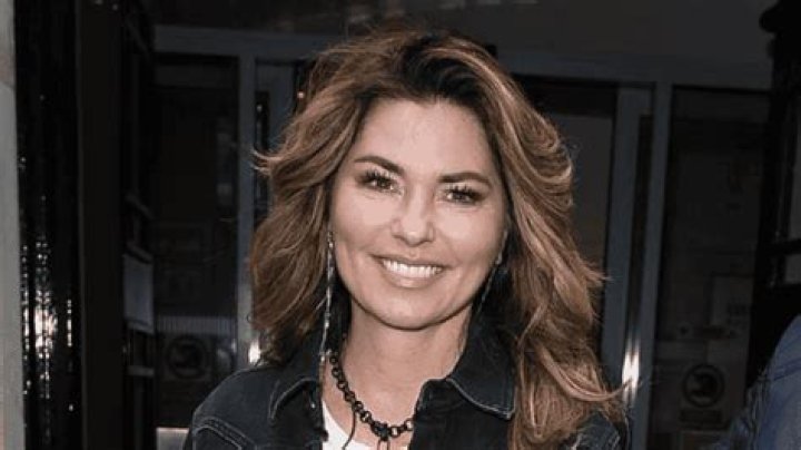 
How Much Money Does Shania Twain Make? Latest Income Salary
