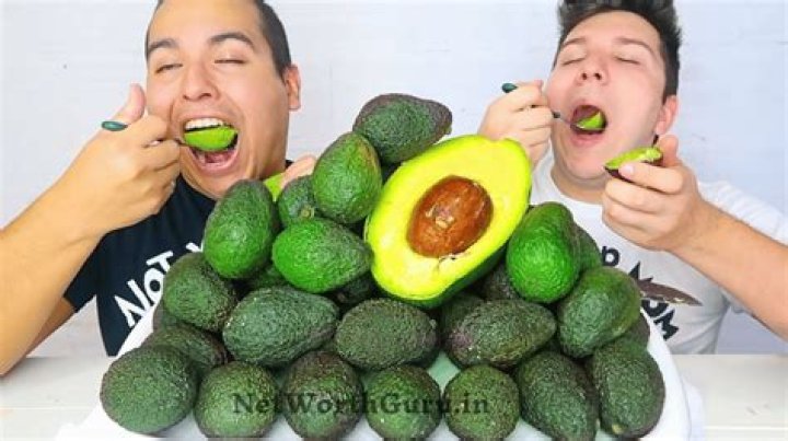 Nikocado Avocado Net Worth & Earnings (2024)