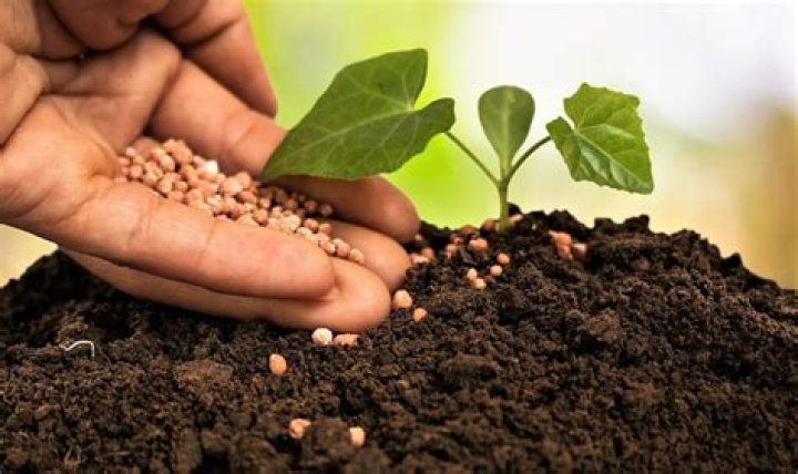 ReturnOfTheGoo abonado en tiempo real recuento